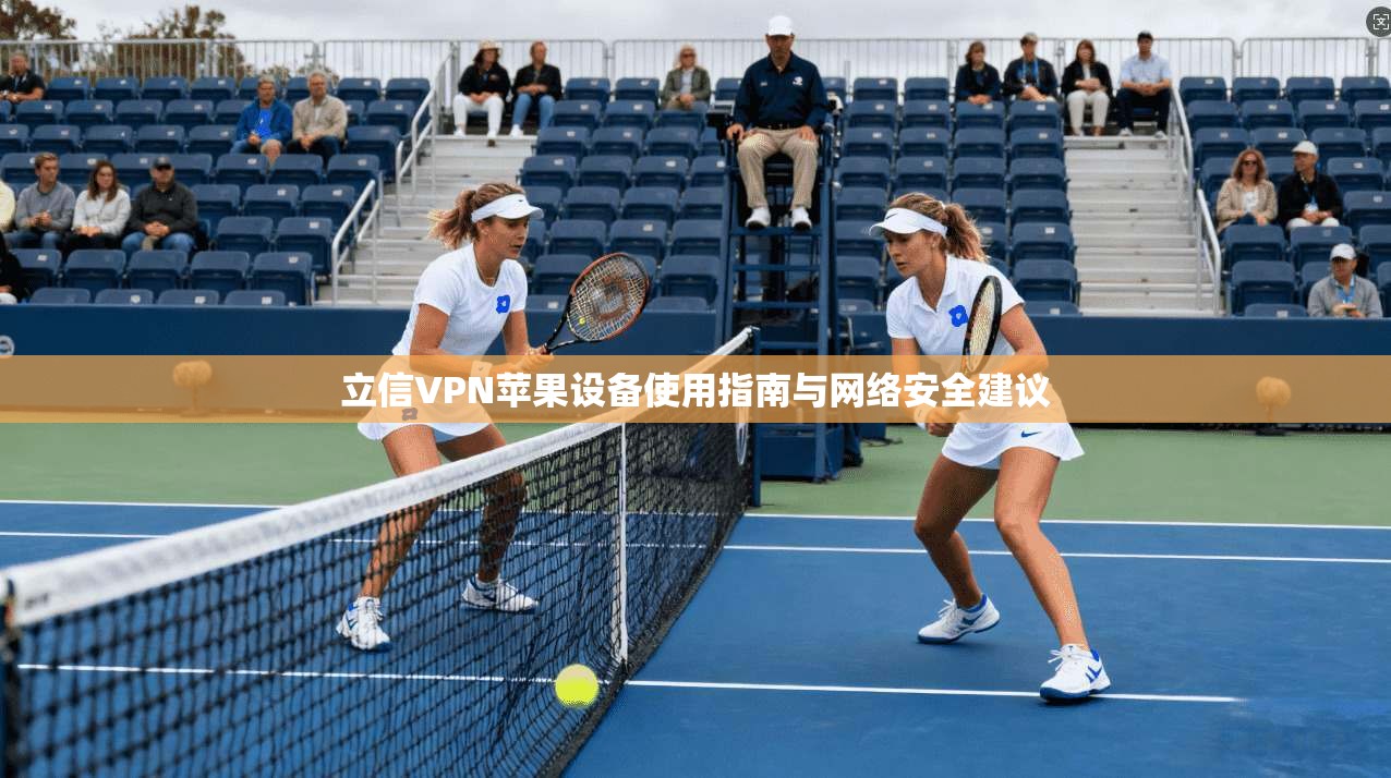 立信VPN苹果设备使用指南与网络安全建议