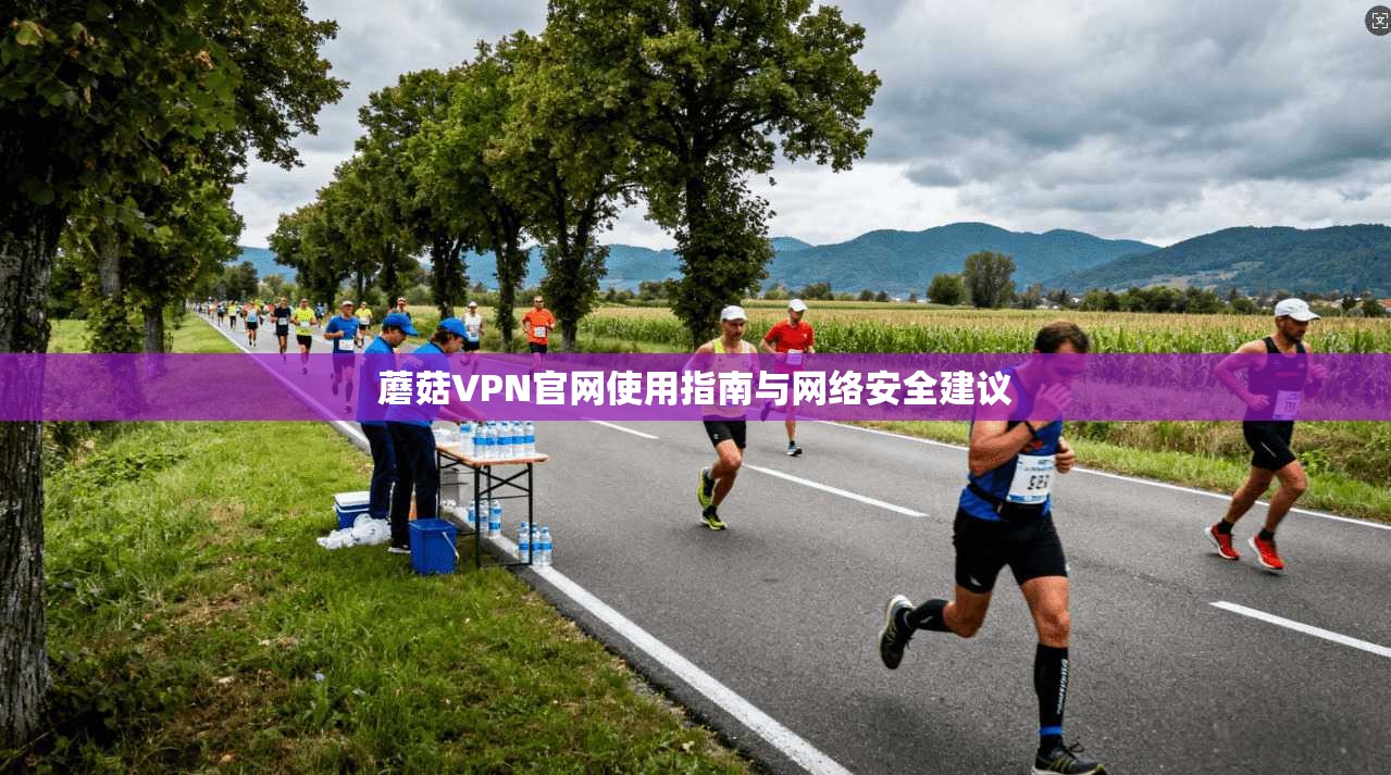 蘑菇VPN官网使用指南与网络安全建议