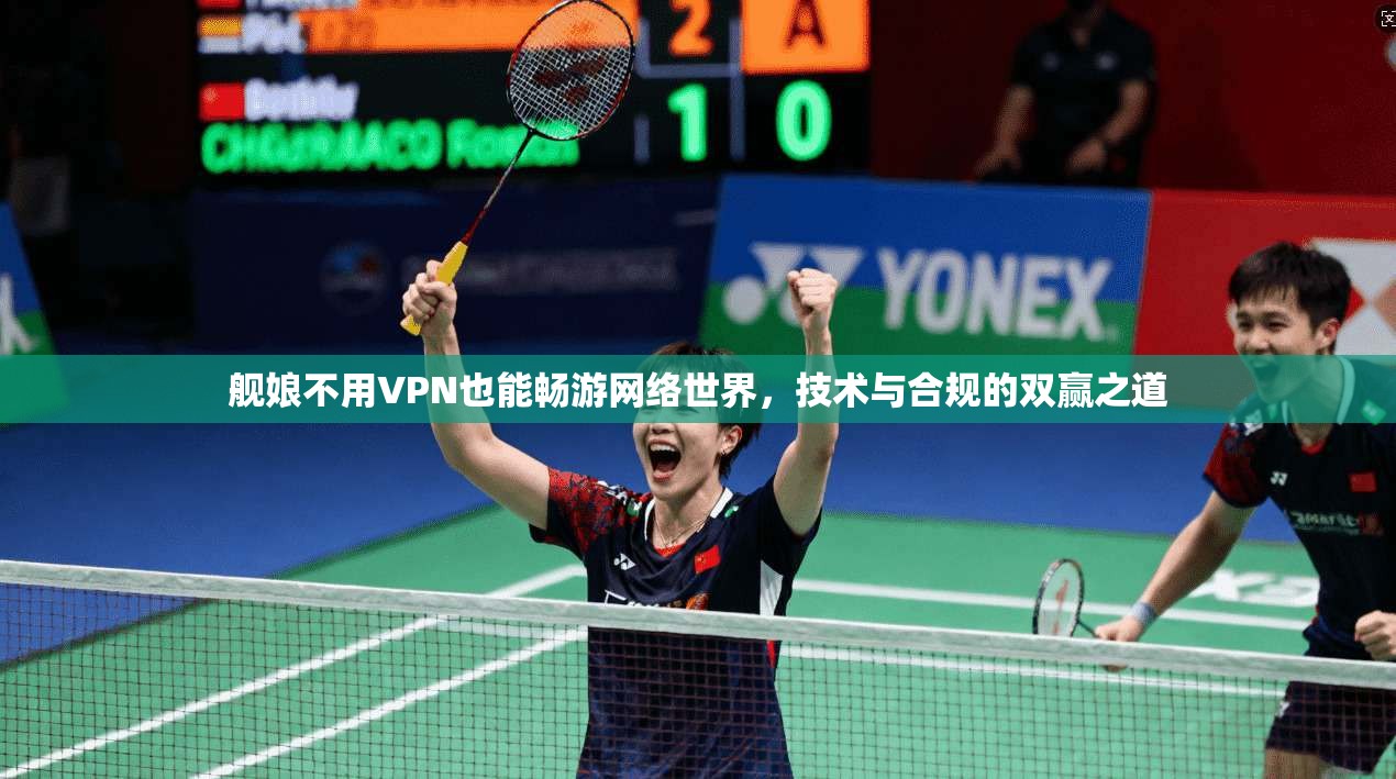 舰娘不用VPN也能畅游网络世界，技术与合规的双赢之道