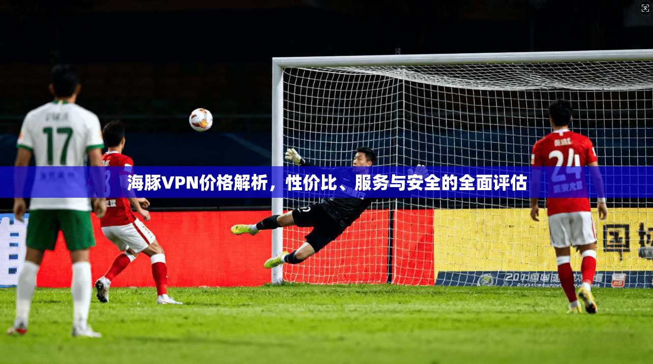 海豚VPN价格解析，性价比、服务与安全的全面评估