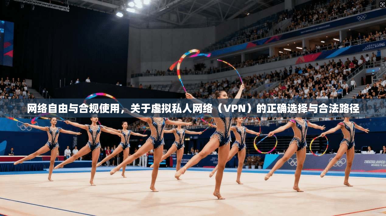 网络自由与合规使用，关于虚拟私人网络（VPN）的正确选择与合法路径