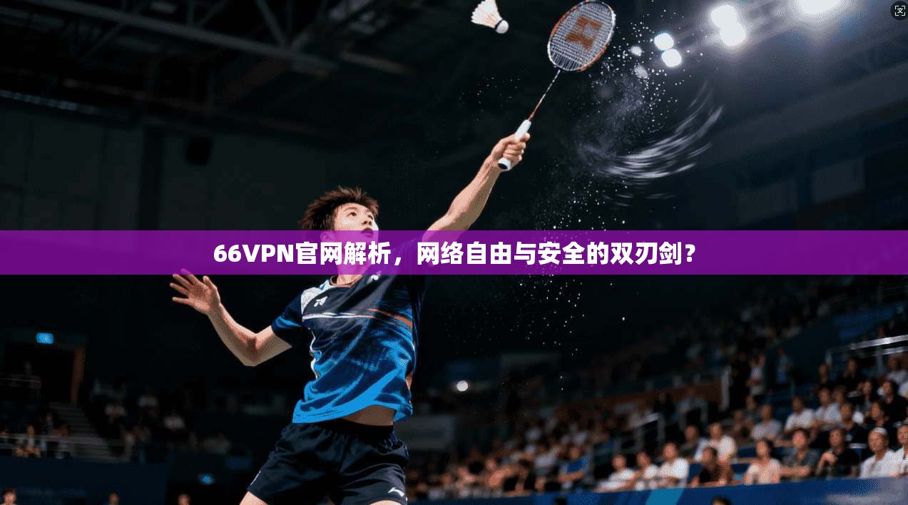 66VPN官网解析，网络自由与安全的双刃剑？