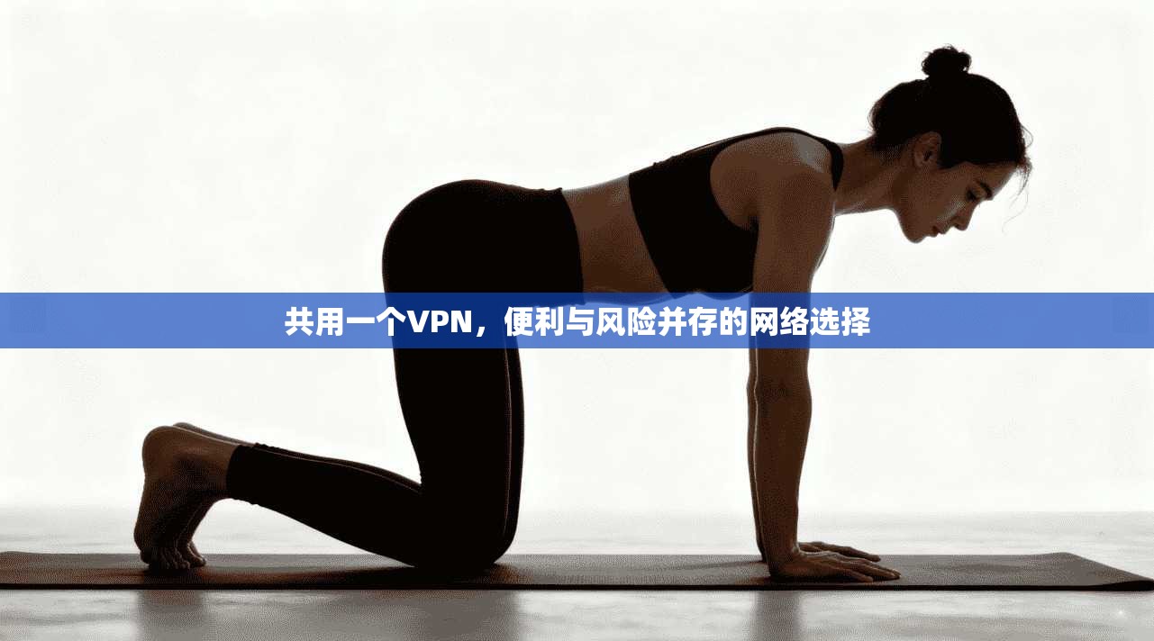 共用一个VPN，便利与风险并存的网络选择