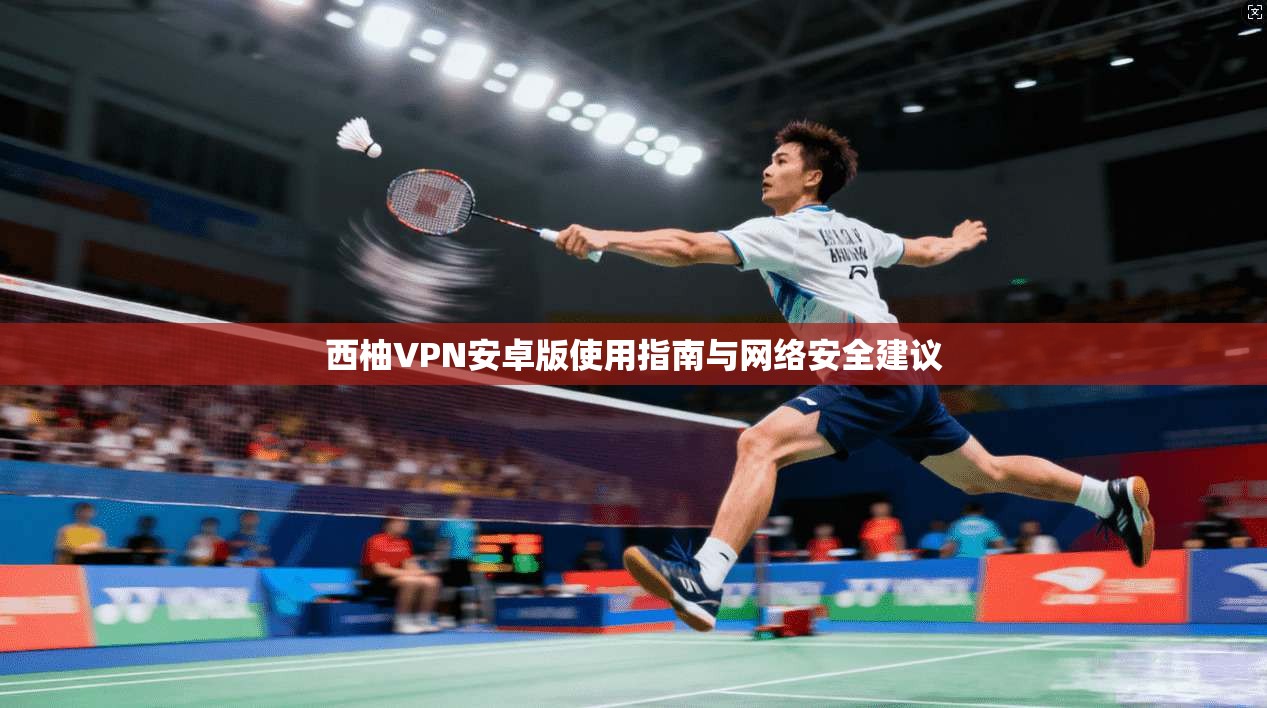 西柚VPN安卓版使用指南与网络安全建议