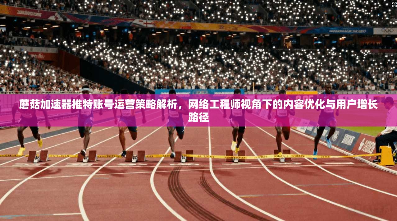 蘑菇加速器推特账号运营策略解析，网络工程师视角下的内容优化与用户增长路径