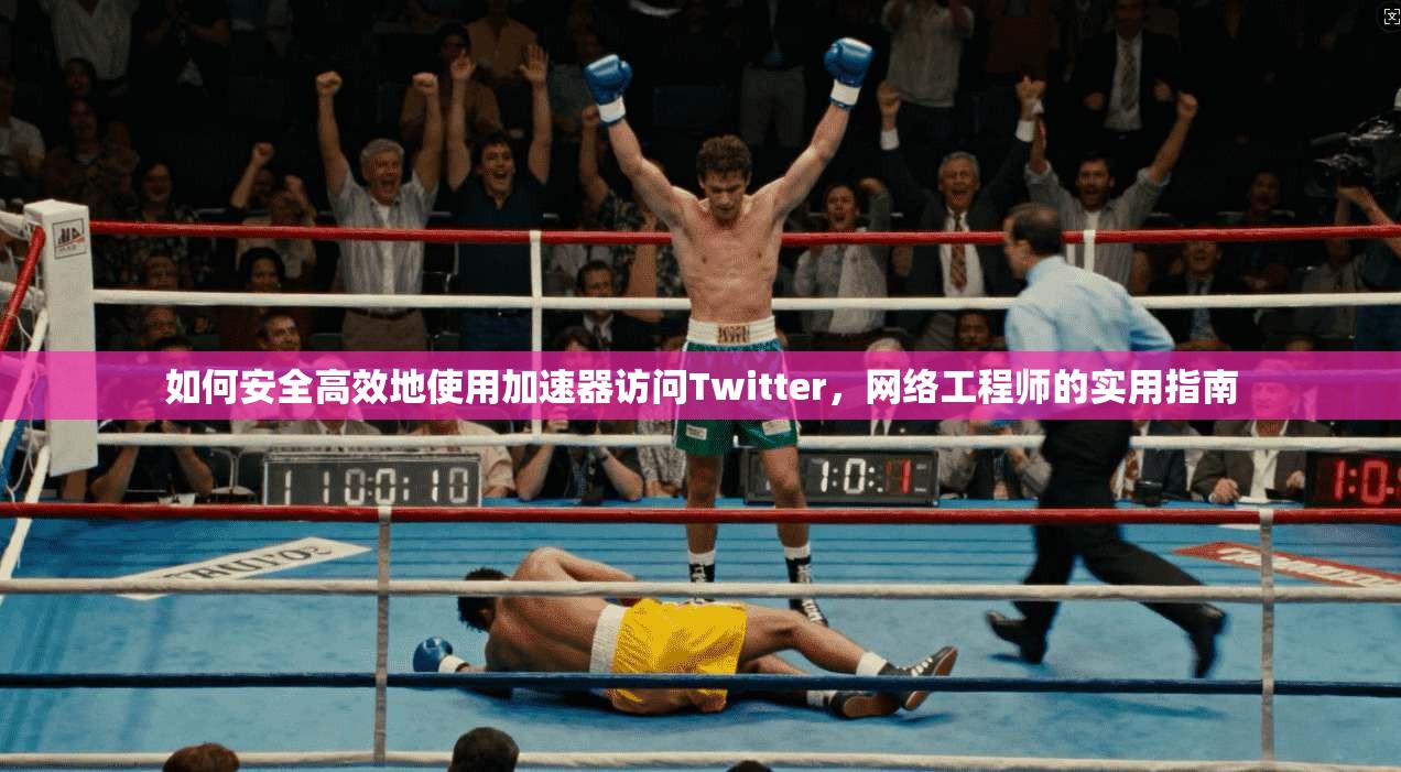 如何安全高效地使用加速器访问Twitter，网络工程师的实用指南
