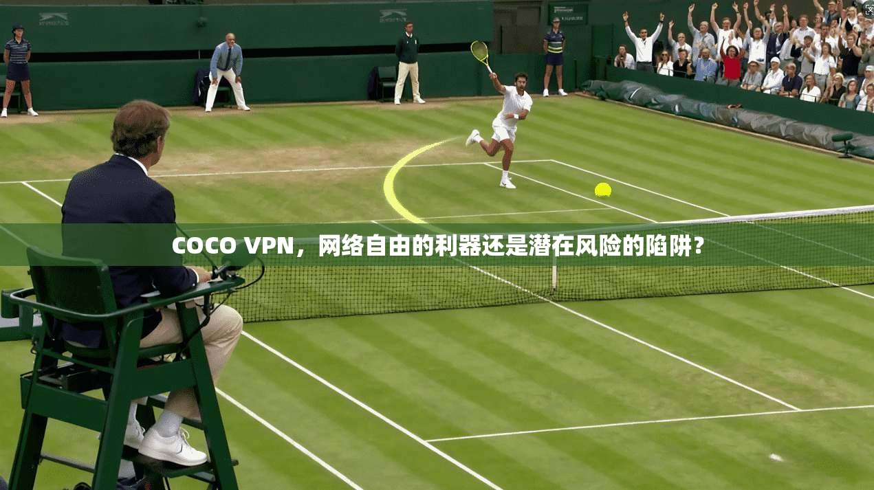 COCO VPN，网络自由的利器还是潜在风险的陷阱？