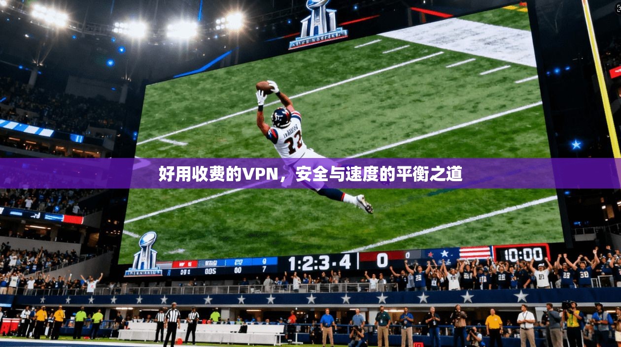 好用收费的VPN，安全与速度的平衡之道