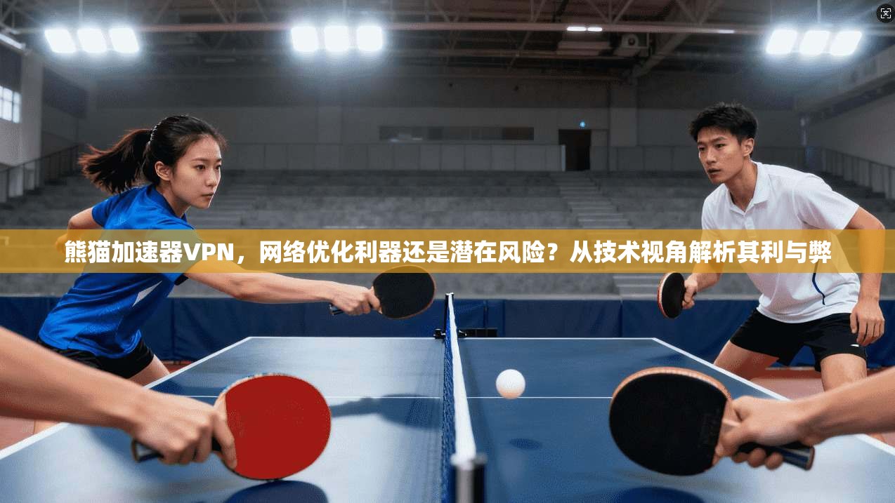 熊猫加速器VPN，网络优化利器还是潜在风险？从技术视角解析其利与弊