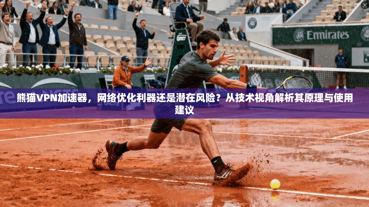 熊猫VPN加速器，网络优化利器还是潜在风险？从技术视角解析其原理与使用建议