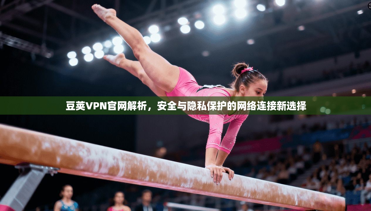 豆荚VPN官网解析，安全与隐私保护的网络连接新选择