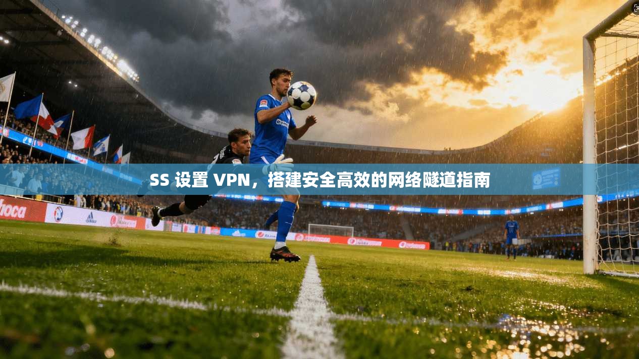 SS 设置 VPN，搭建安全高效的网络隧道指南