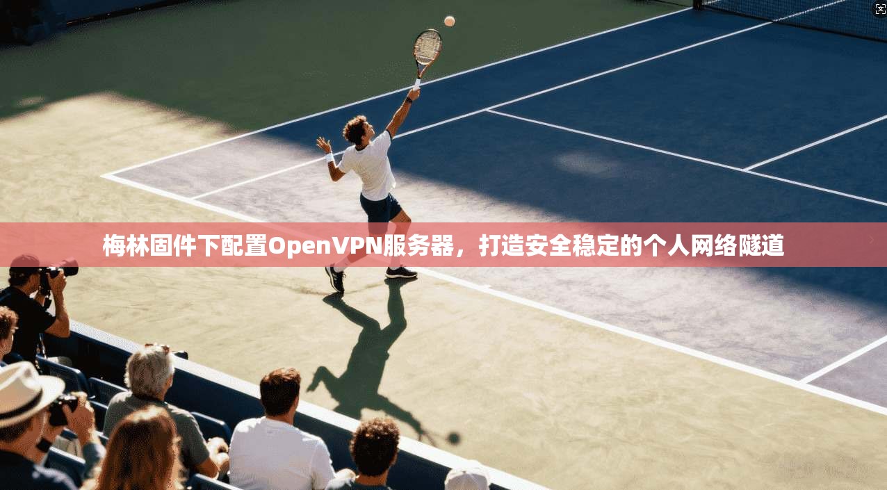 梅林固件下配置OpenVPN服务器，打造安全稳定的个人网络隧道