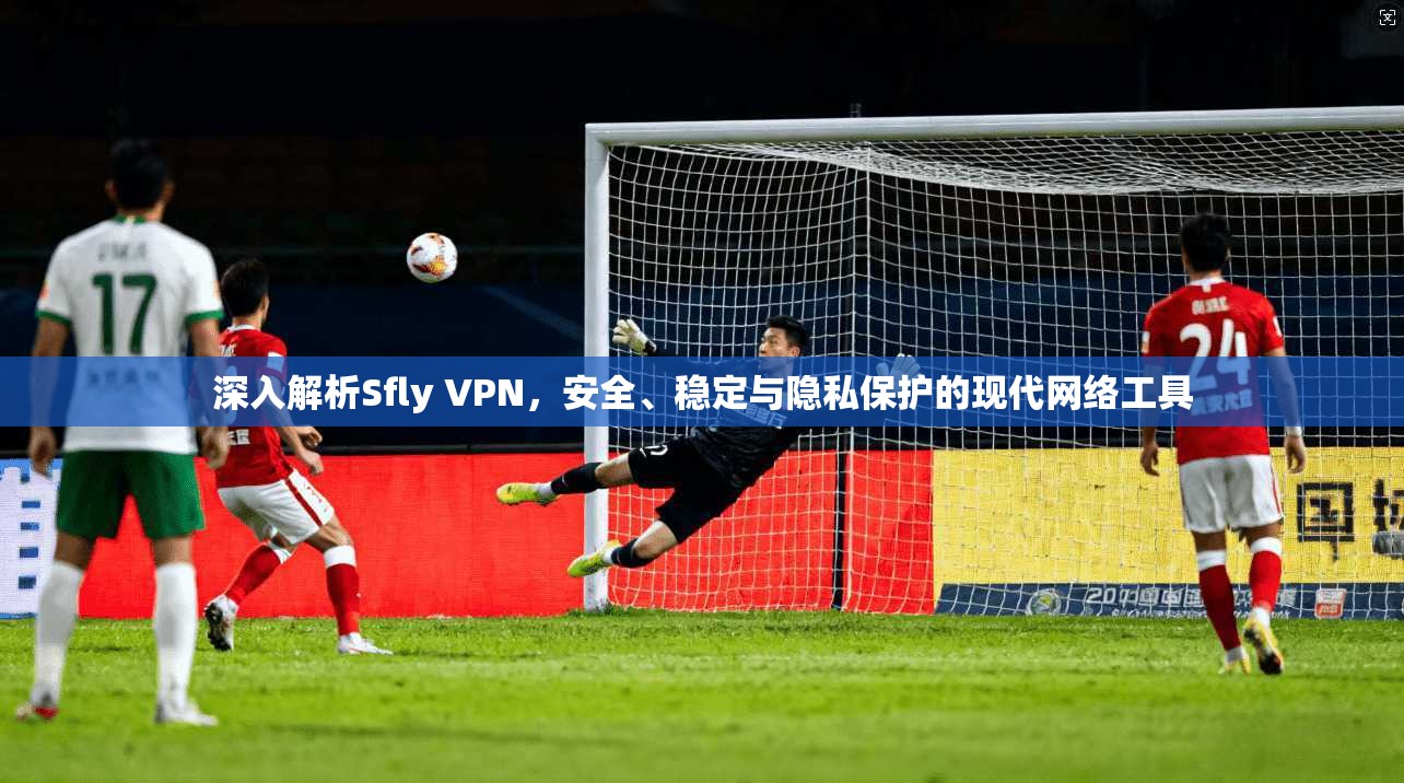 深入解析Sfly VPN，安全、稳定与隐私保护的现代网络工具