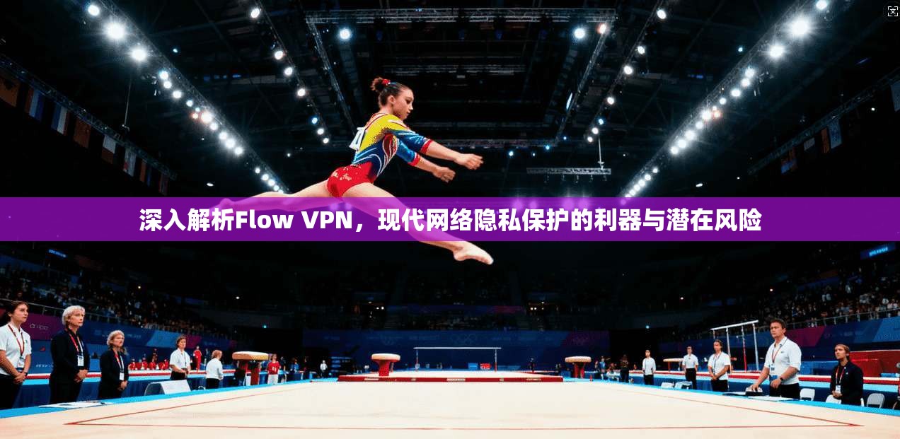 深入解析Flow VPN，现代网络隐私保护的利器与潜在风险
