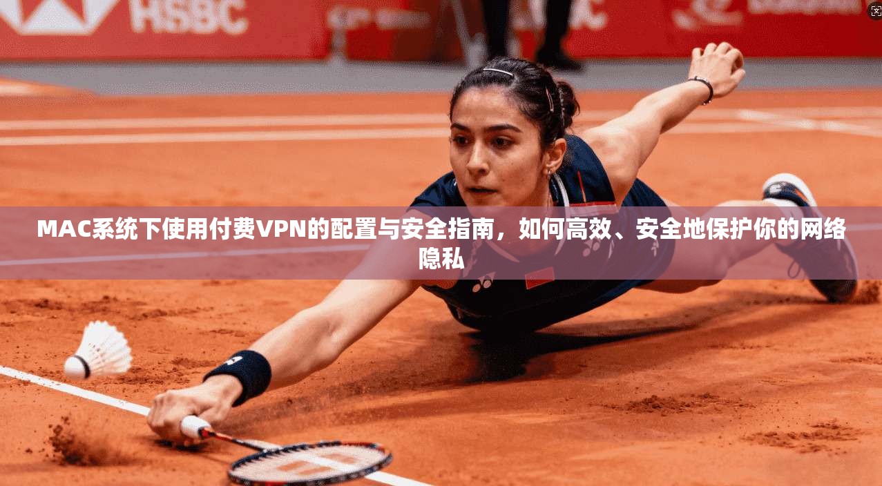 MAC系统下使用付费VPN的配置与安全指南，如何高效、安全地保护你的网络隐私