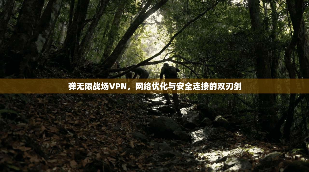 弹无限战场VPN，网络优化与安全连接的双刃剑