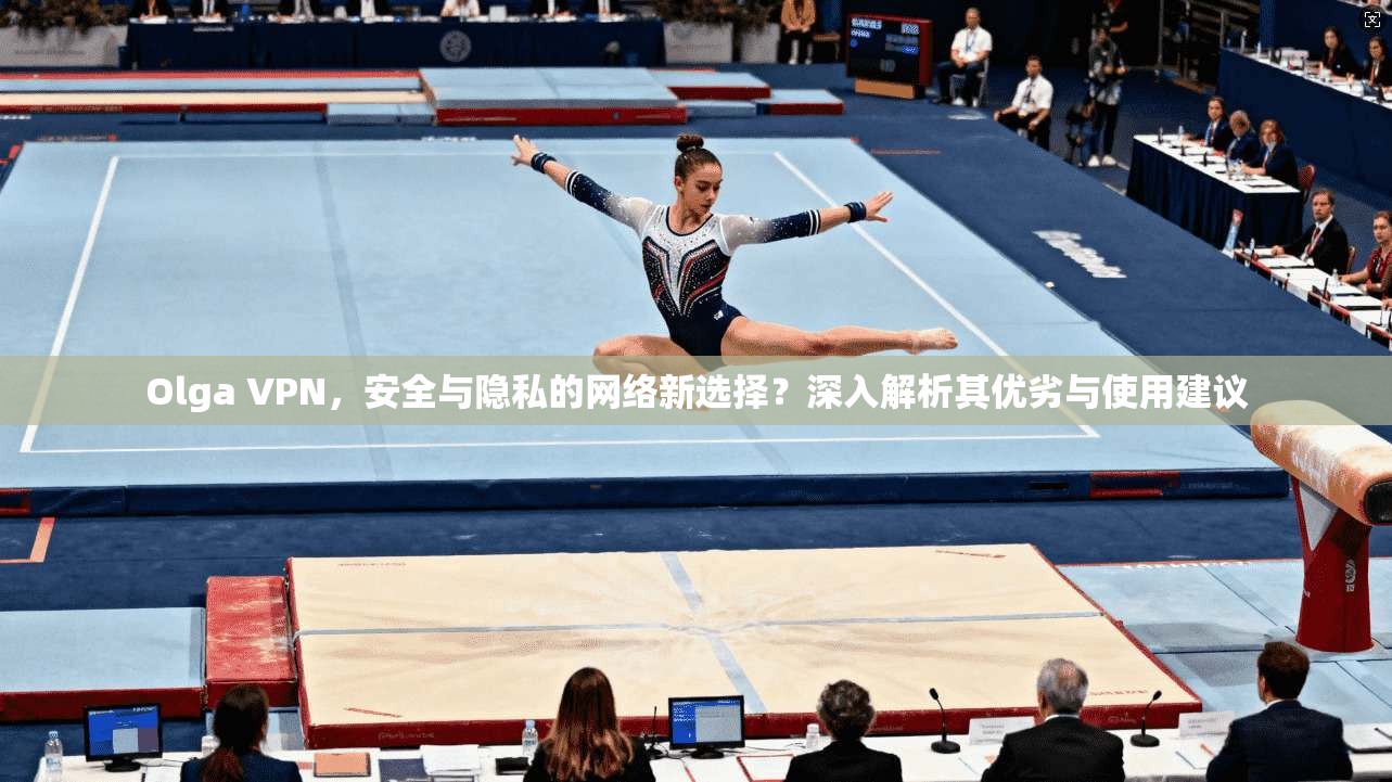 Olga VPN，安全与隐私的网络新选择？深入解析其优劣与使用建议