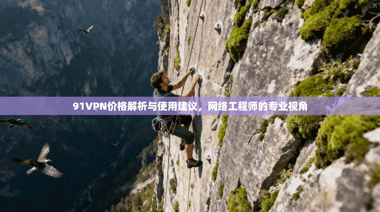 91VPN价格解析与使用建议，网络工程师的专业视角