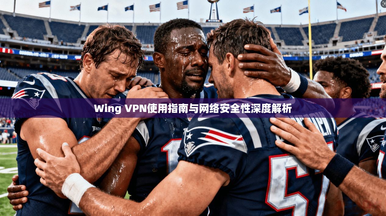 Wing VPN使用指南与网络安全性深度解析