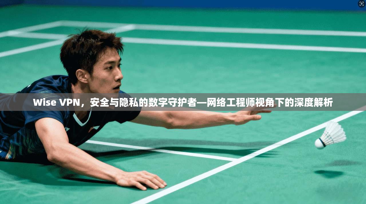 Wise VPN，安全与隐私的数字守护者—网络工程师视角下的深度解析