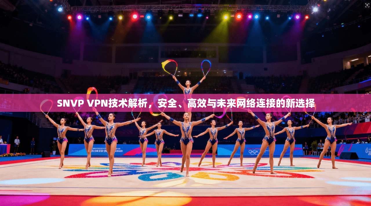 SNVP VPN技术解析，安全、高效与未来网络连接的新选择