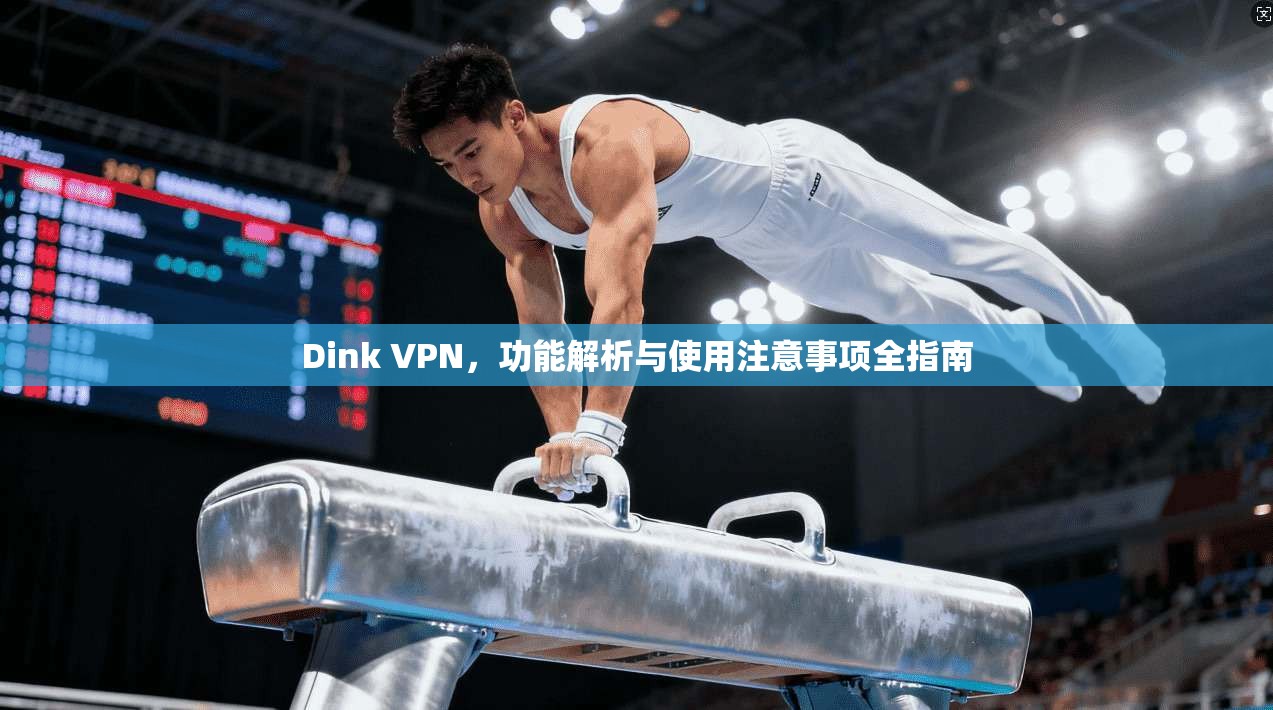 Dink VPN，功能解析与使用注意事项全指南