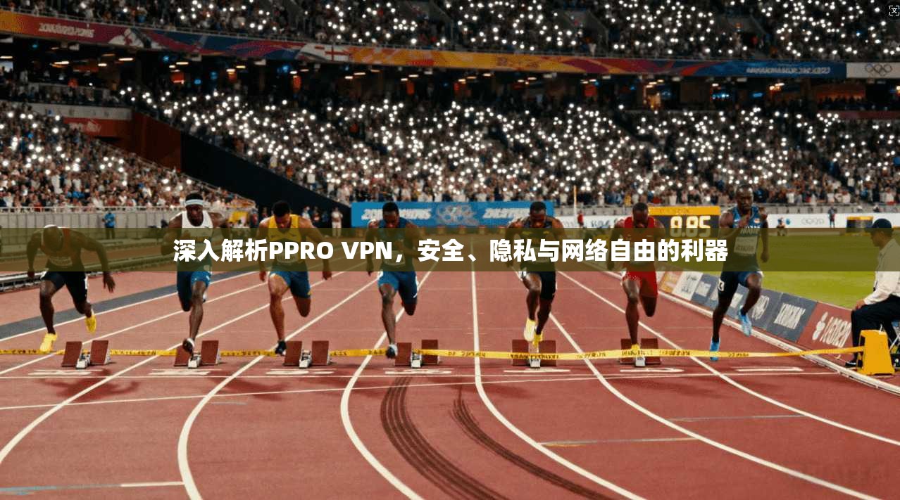 深入解析PPRO VPN，安全、隐私与网络自由的利器
