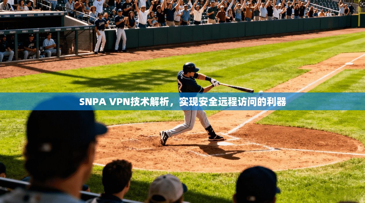 SNPA VPN技术解析，实现安全远程访问的利器