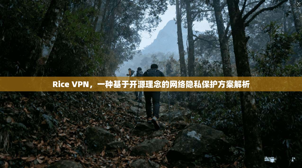 Rice VPN，一种基于开源理念的网络隐私保护方案解析