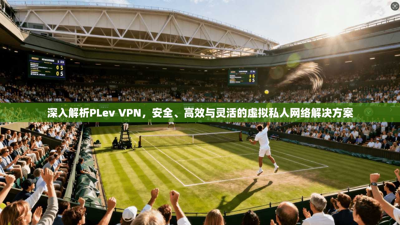 深入解析PLev VPN，安全、高效与灵活的虚拟私人网络解决方案