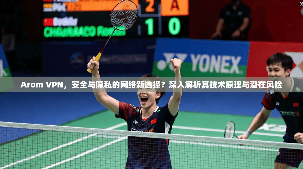 Arom VPN，安全与隐私的网络新选择？深入解析其技术原理与潜在风险