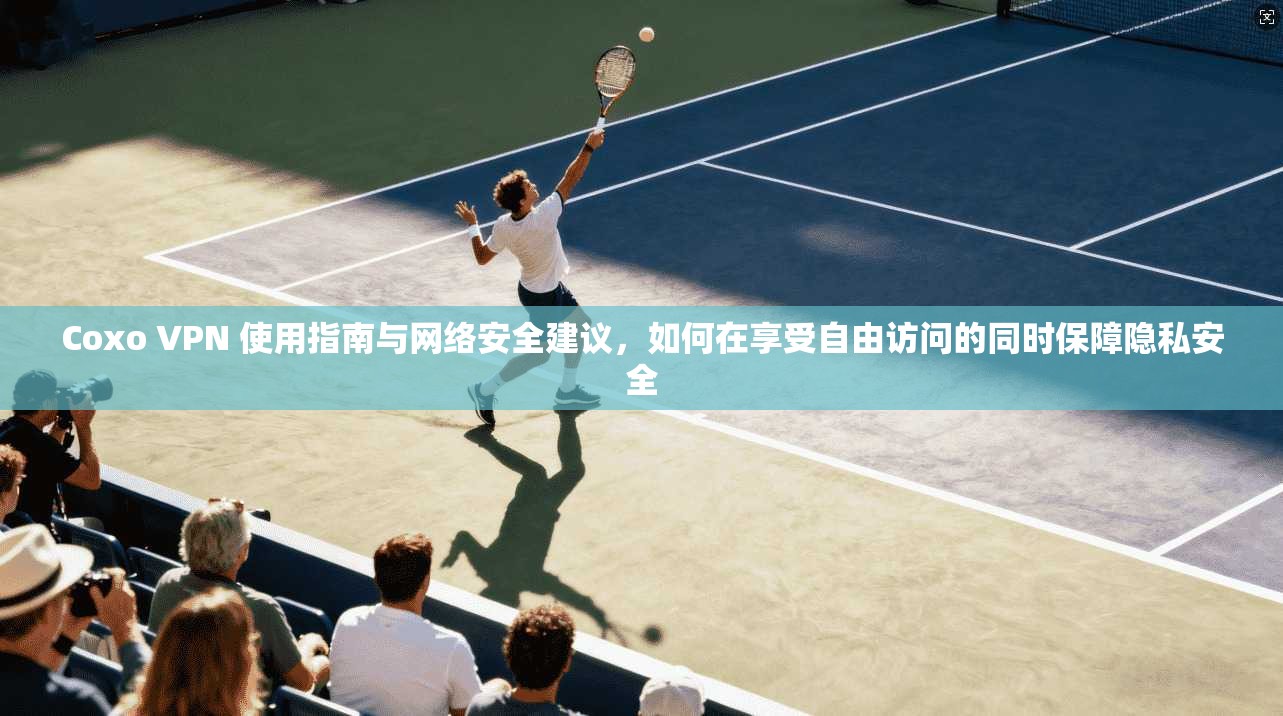 Coxo VPN 使用指南与网络安全建议，如何在享受自由访问的同时保障隐私安全