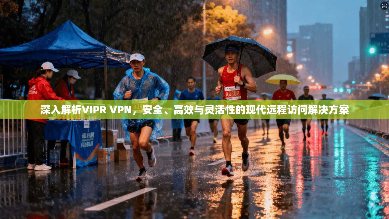 深入解析VIPR VPN，安全、高效与灵活性的现代远程访问解决方案