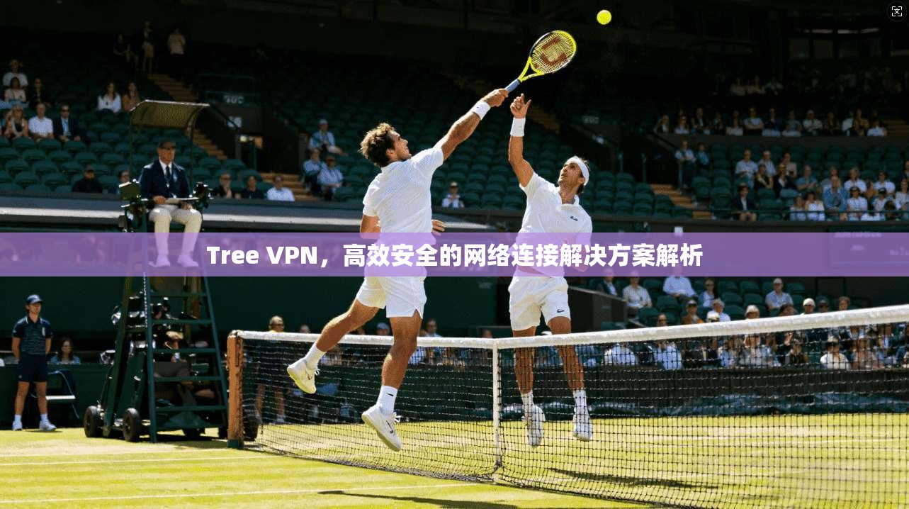 Tree VPN，高效安全的网络连接解决方案解析