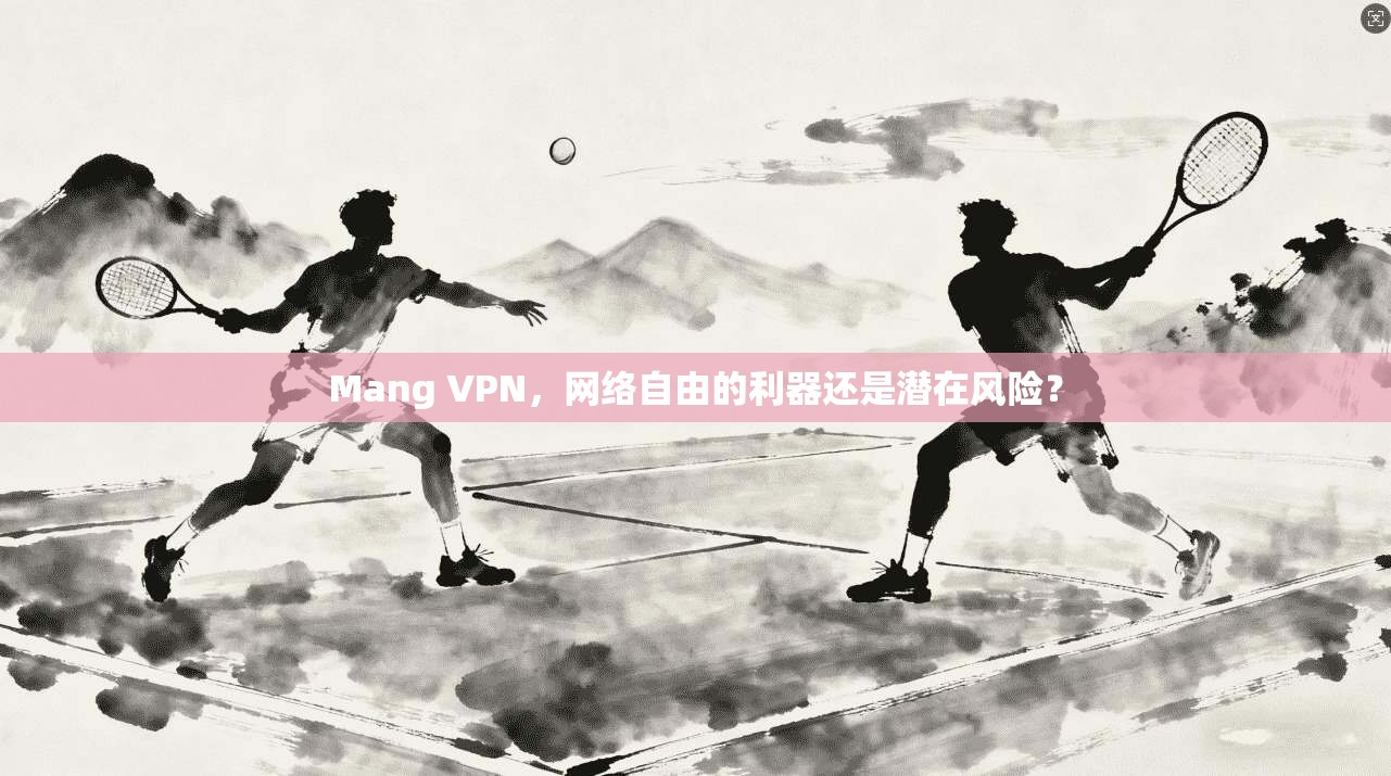 Mang VPN，网络自由的利器还是潜在风险？