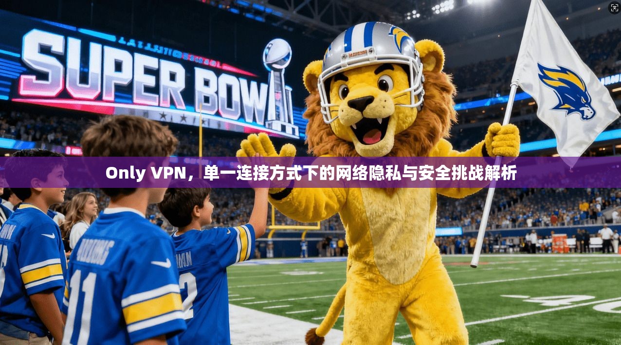 Only VPN，单一连接方式下的网络隐私与安全挑战解析