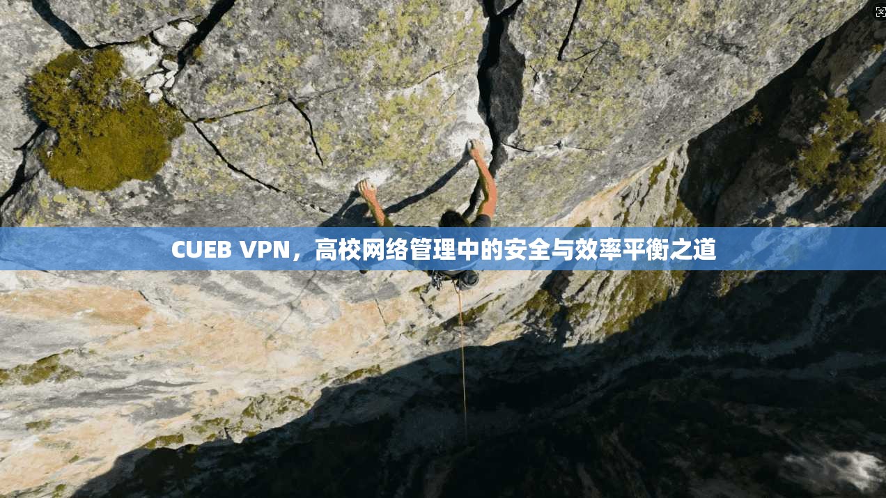 CUEB VPN，高校网络管理中的安全与效率平衡之道