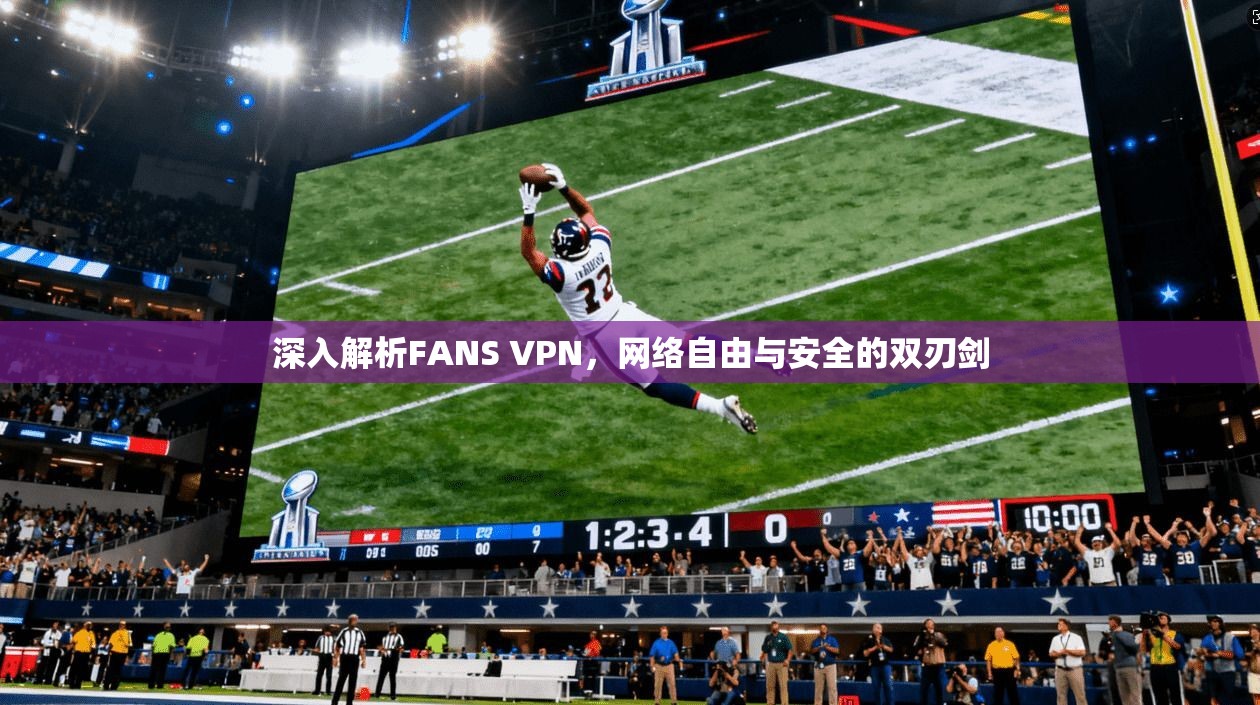 深入解析FANS VPN，网络自由与安全的双刃剑