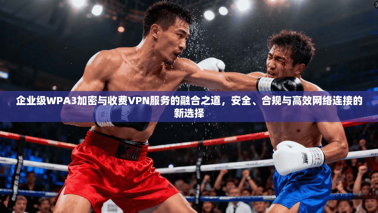 企业级WPA3加密与收费VPN服务的融合之道，安全、合规与高效网络连接的新选择