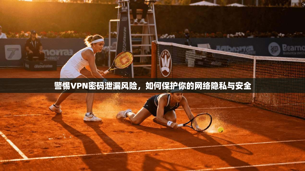 警惕VPN密码泄漏风险，如何保护你的网络隐私与安全