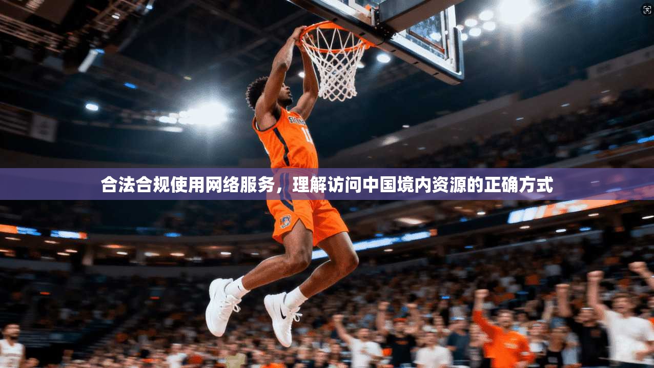 合法合规使用网络服务，理解访问中国境内资源的正确方式