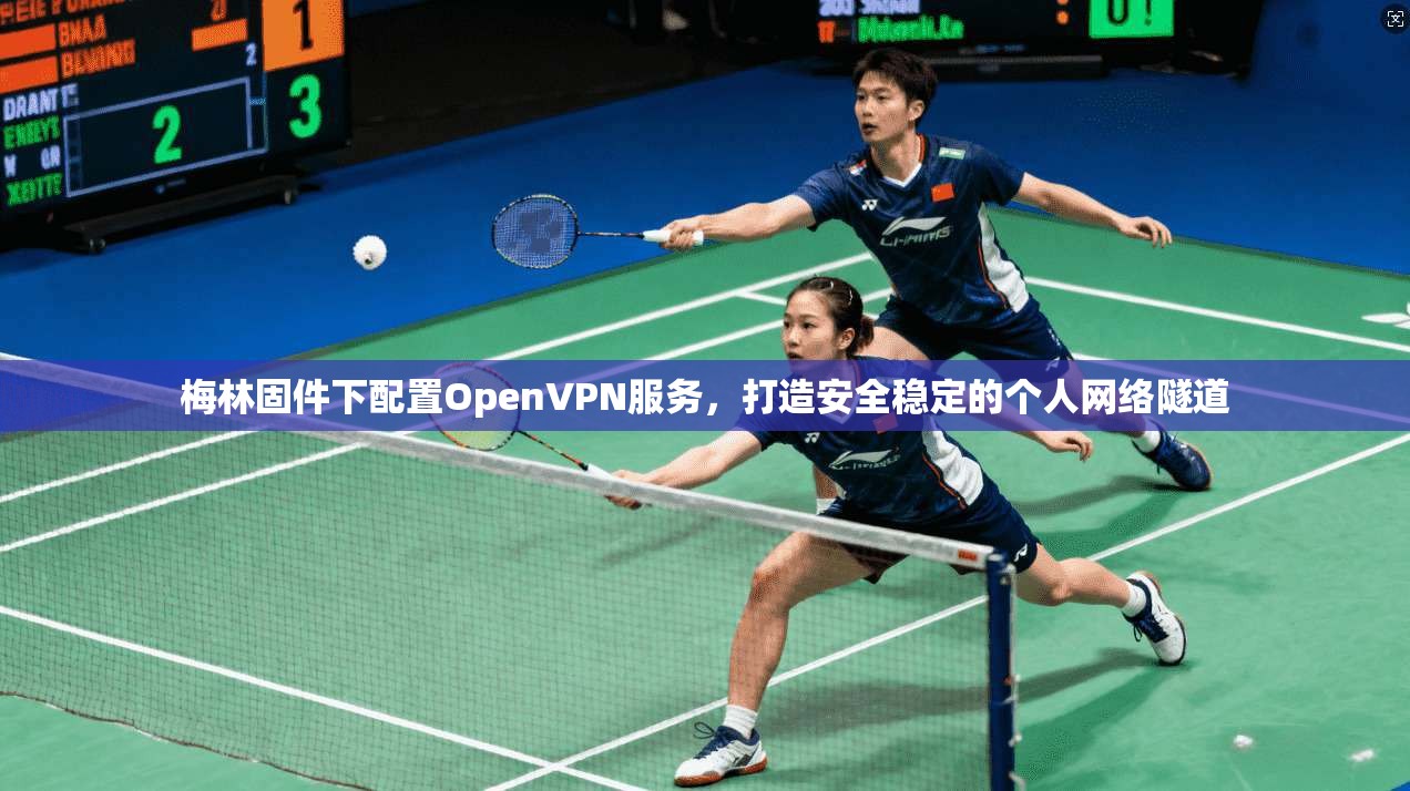 梅林固件下配置OpenVPN服务，打造安全稳定的个人网络隧道
