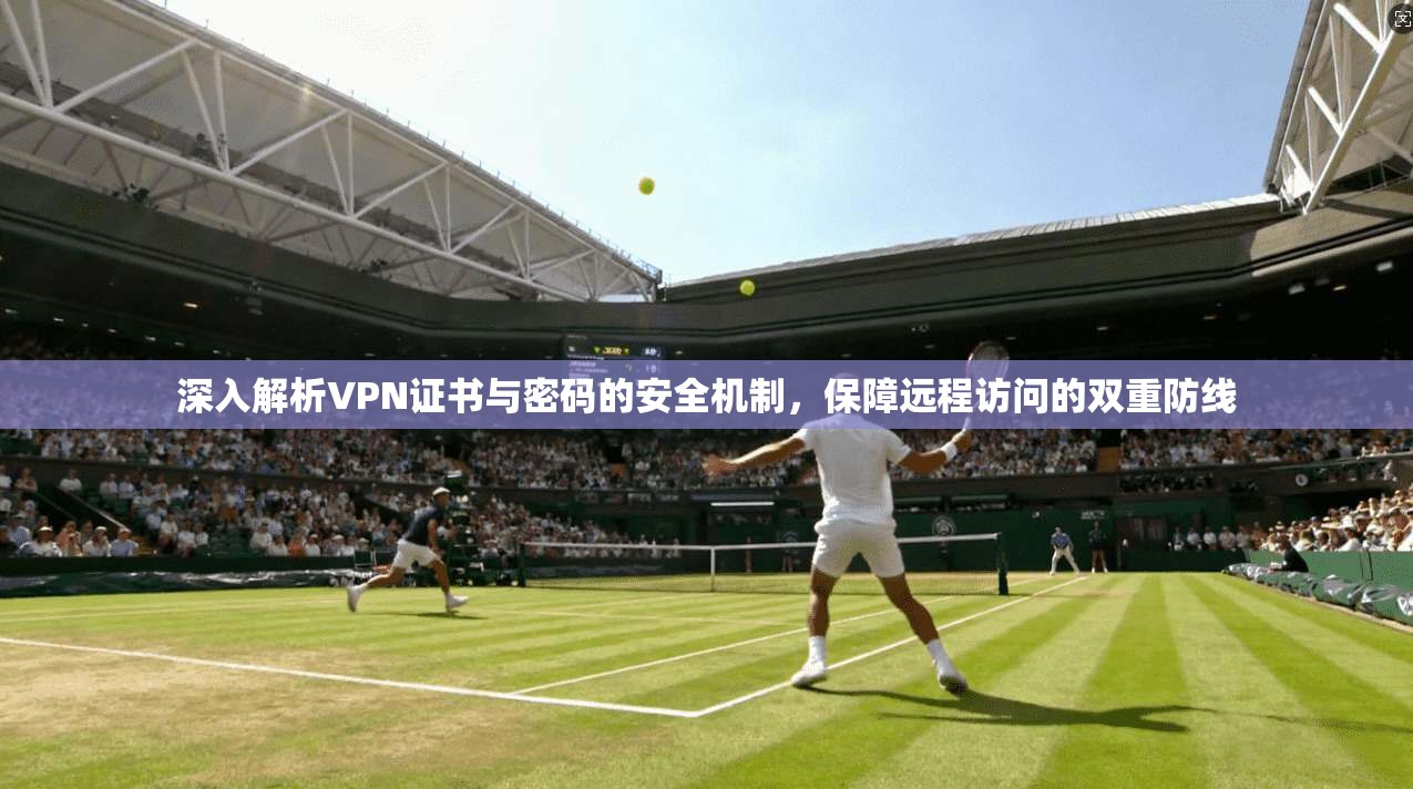 深入解析VPN证书与密码的安全机制，保障远程访问的双重防线