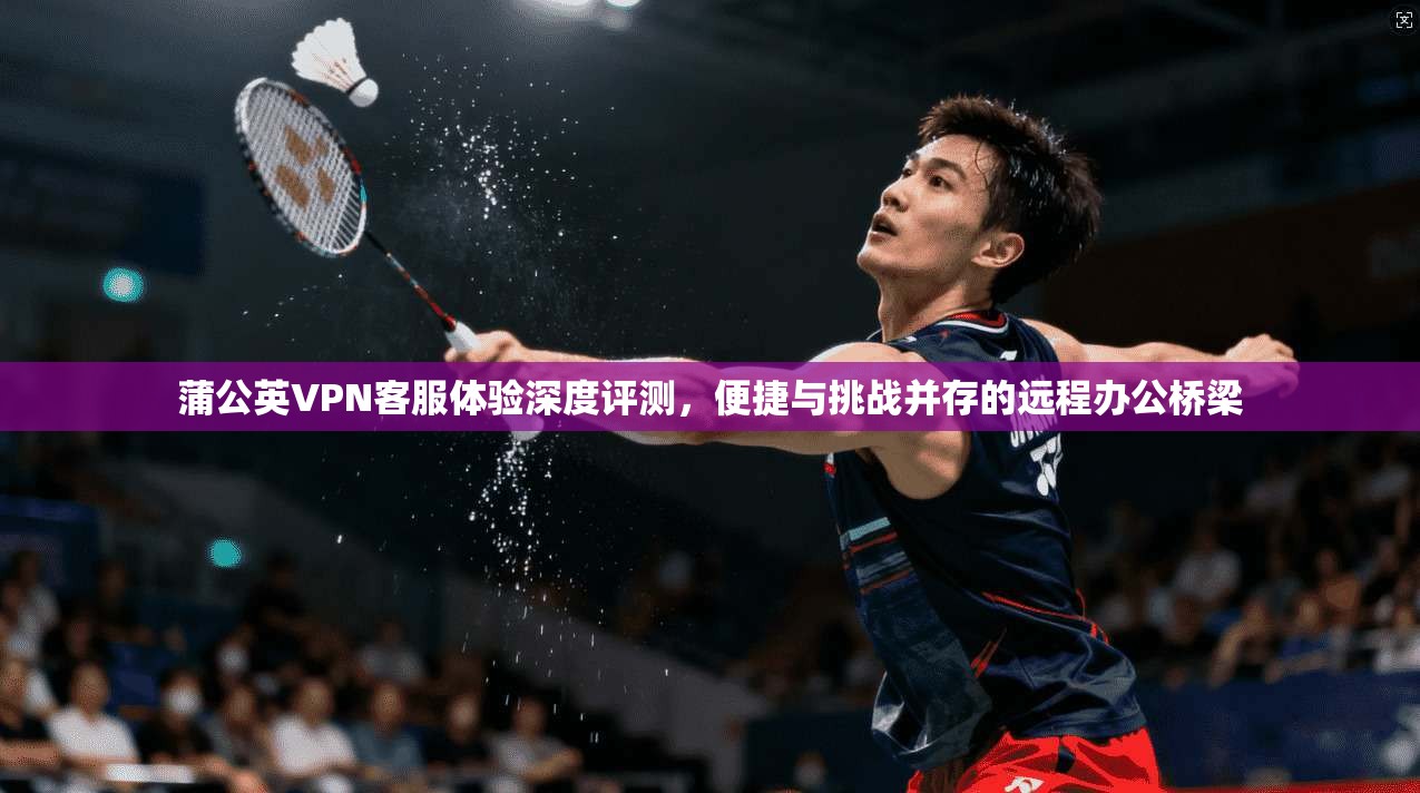 蒲公英VPN客服体验深度评测，便捷与挑战并存的远程办公桥梁