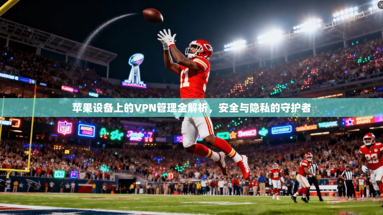 苹果设备上的VPN管理全解析，安全与隐私的守护者