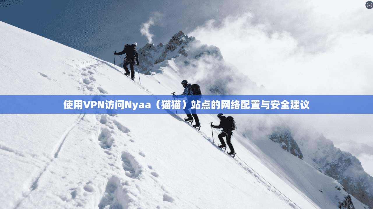 使用VPN访问Nyaa（猫猫）站点的网络配置与安全建议