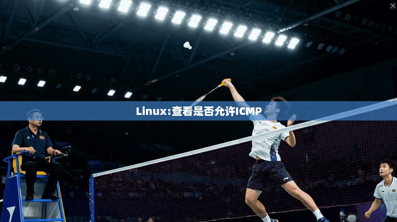 Linux:查看是否允许ICMP