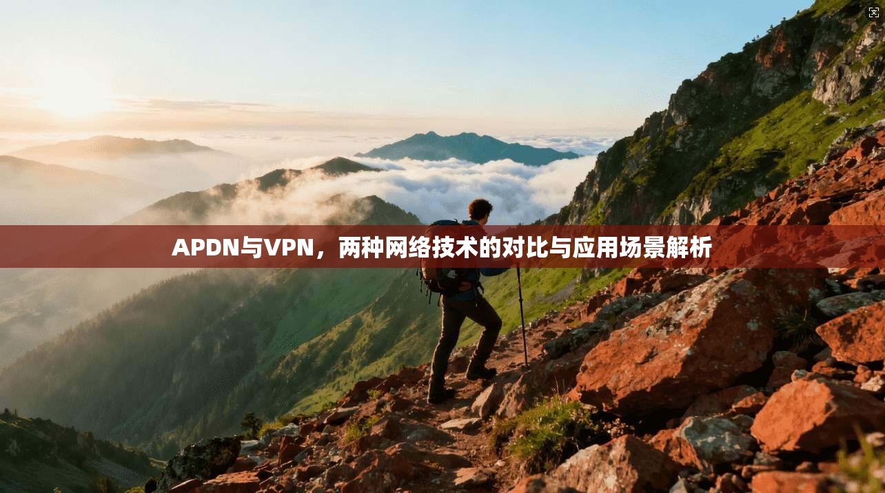 APDN与VPN，两种网络技术的对比与应用场景解析