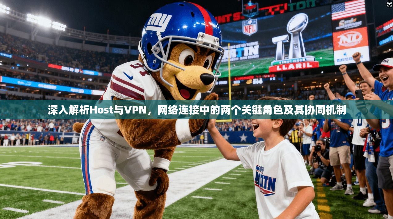深入解析Host与VPN，网络连接中的两个关键角色及其协同机制